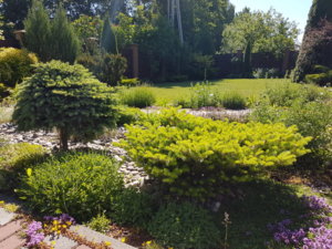 20180608_102828.jpg