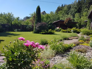 20180608_102928.jpg