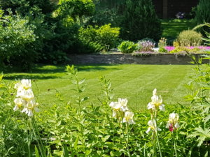 20180603_115452.jpg