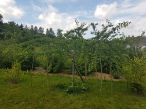 20180617_152107.jpg