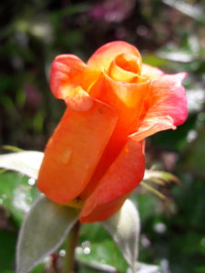 20180625_111844.jpg