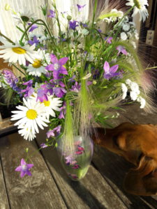 20180625_200654.jpg