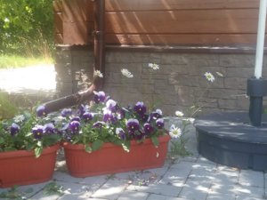20180626_123709.jpg