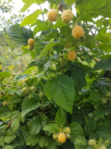 20180626_173043.jpg