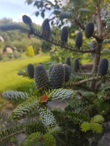 20180617_144651.jpg