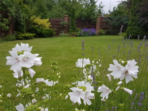20180615_093646.jpg