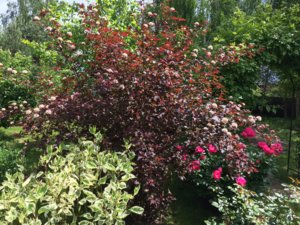 IMG_3753.JPG
