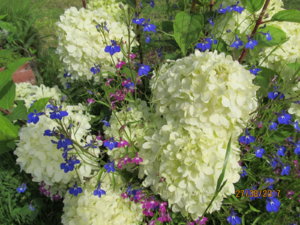 IMG_8694.JPG
