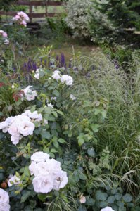 DSC_2248.JPG
