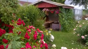 WP_20180615_18_59_41_Pro.jpg