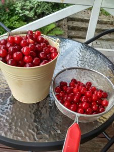 IMG_20180629_170046_HDR.jpg