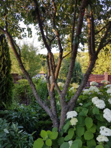 20180704_203326.jpg