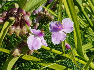 20180705_090426.jpg
