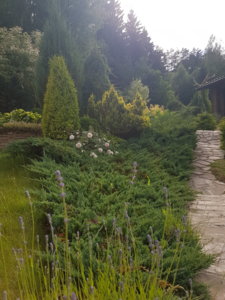 20180622_172003.jpg