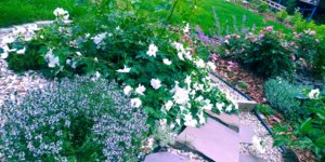 20180623_121420.jpg