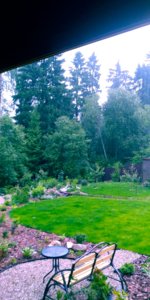 20180623_124353.jpg