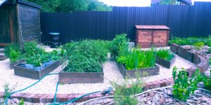 20180702_104843.jpg