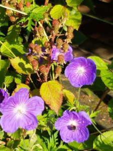 20180710_072614.jpg