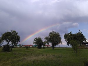 IMG_20180625_180439.jpg