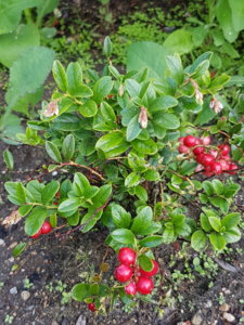 20180714_164043.jpg