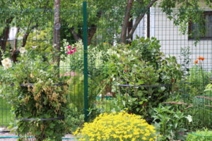 IMG_7764.JPG