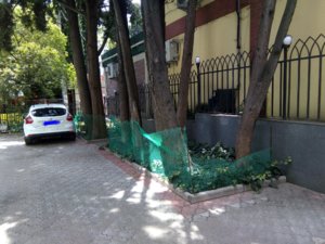 IMG_20180715_125826_826.jpg