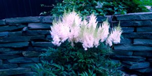 20180714_190833.jpg