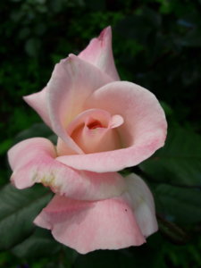 20180713_112516.jpg