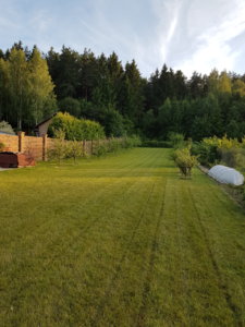 20180706_202237.jpg