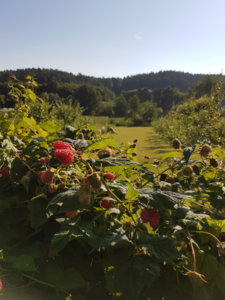20180708_080516.jpg