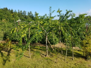 20180708_081026.jpg