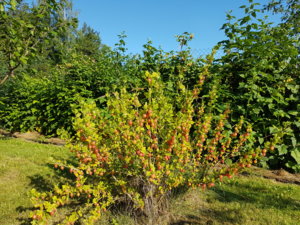 20180708_080904.jpg