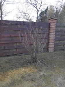 20180411_155210.jpg