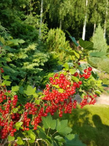 20180710_074058.jpg