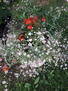 20180722_203241.jpg