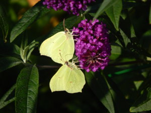 DSCN4558.JPG