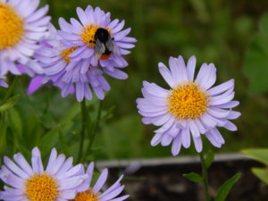 DSCN2388.JPG