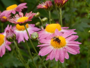 DSCN4289.JPG