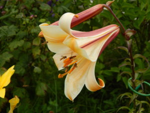 DSCN3843.JPG