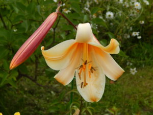 DSCN3844.JPG