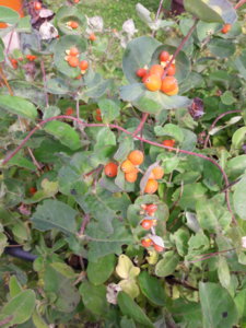 20180724_101113.jpg