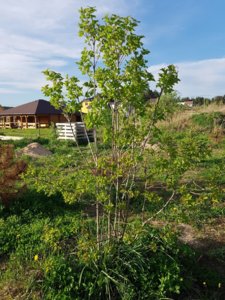 20180505_184204.jpg