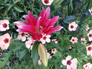 20180726_101016.jpg