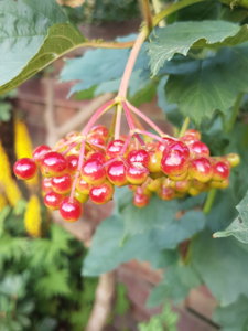 20180728_195421.jpg