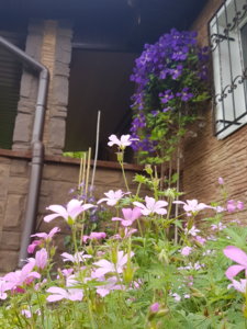 20180715_124837.jpg