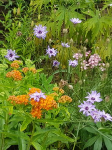 20180715_123523.jpg