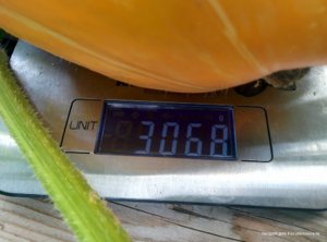 IMG_20180804_183953.jpg