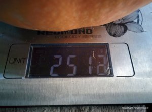 IMG_20180804_184058.jpg