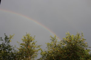 IMG_8916.JPG
