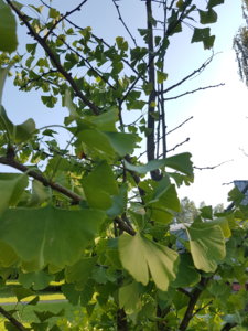 20180729_175830.jpg
